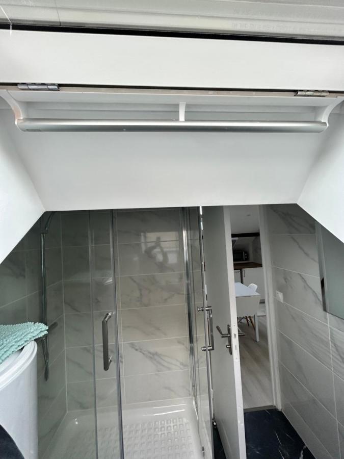 F3 Au Grenier D'Une Maison Massy  Extérieur photo