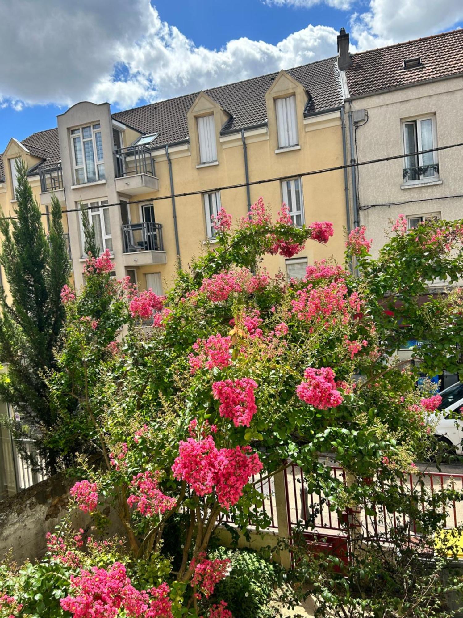 F3 Au Grenier D'Une Maison Massy  Extérieur photo